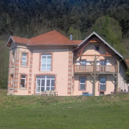 Violette Dans Batisse Du 18e Siecle Au Calme - Fr-1-589-710 Moyenmoutier